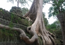 Ta-Prohm-Tempel-in-Angkor