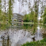 Universität Augsburg, Blick auf das C-Gebäude vom Unisee aus