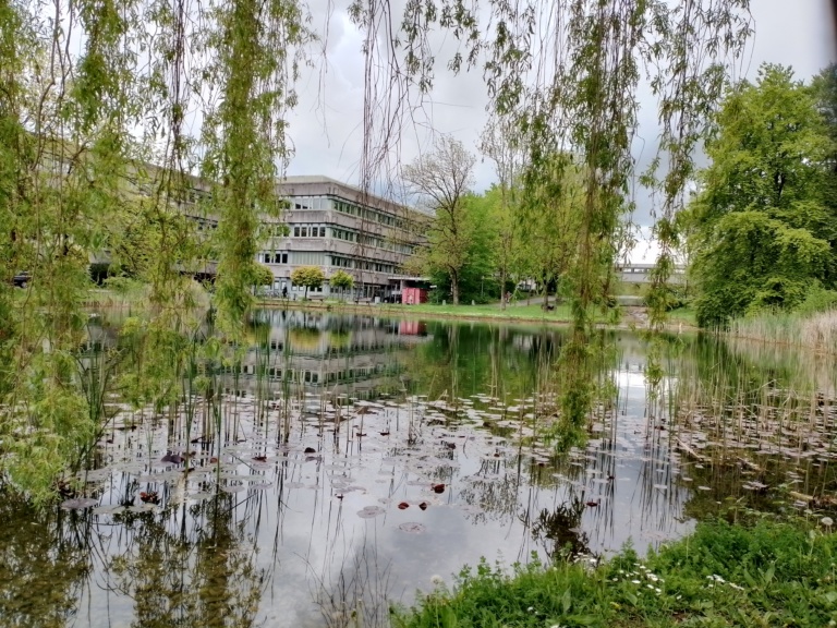 Universität Augsburg, Blick auf das C-Gebäude vom Unisee aus